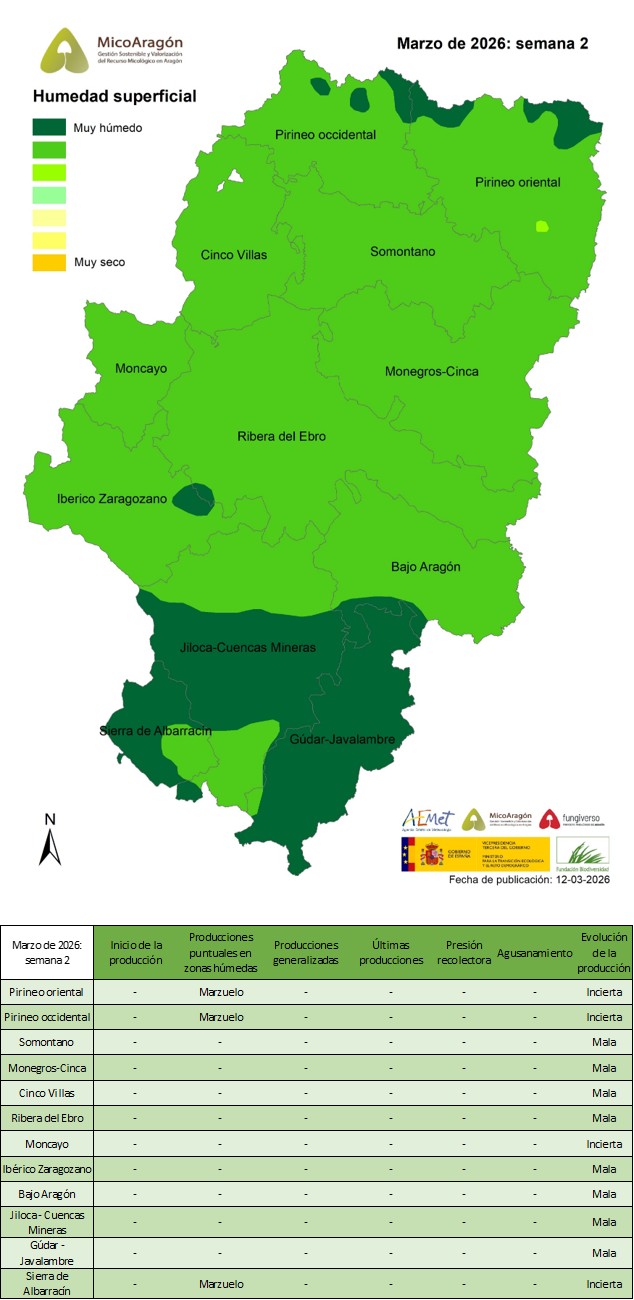 Marzo de 2026: Semana 2