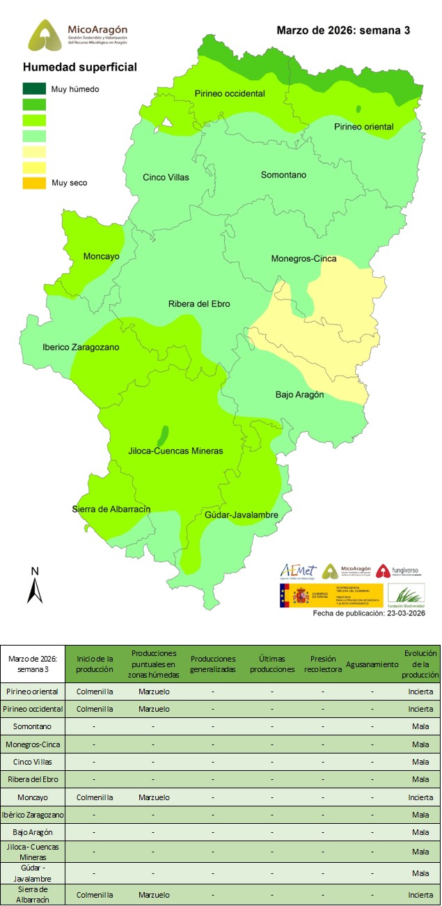 Marzo de 2026: Semana 3