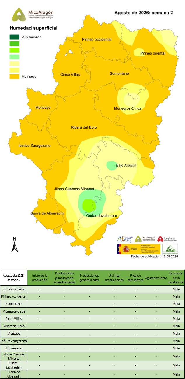 Agosto de 2026: Semana 2