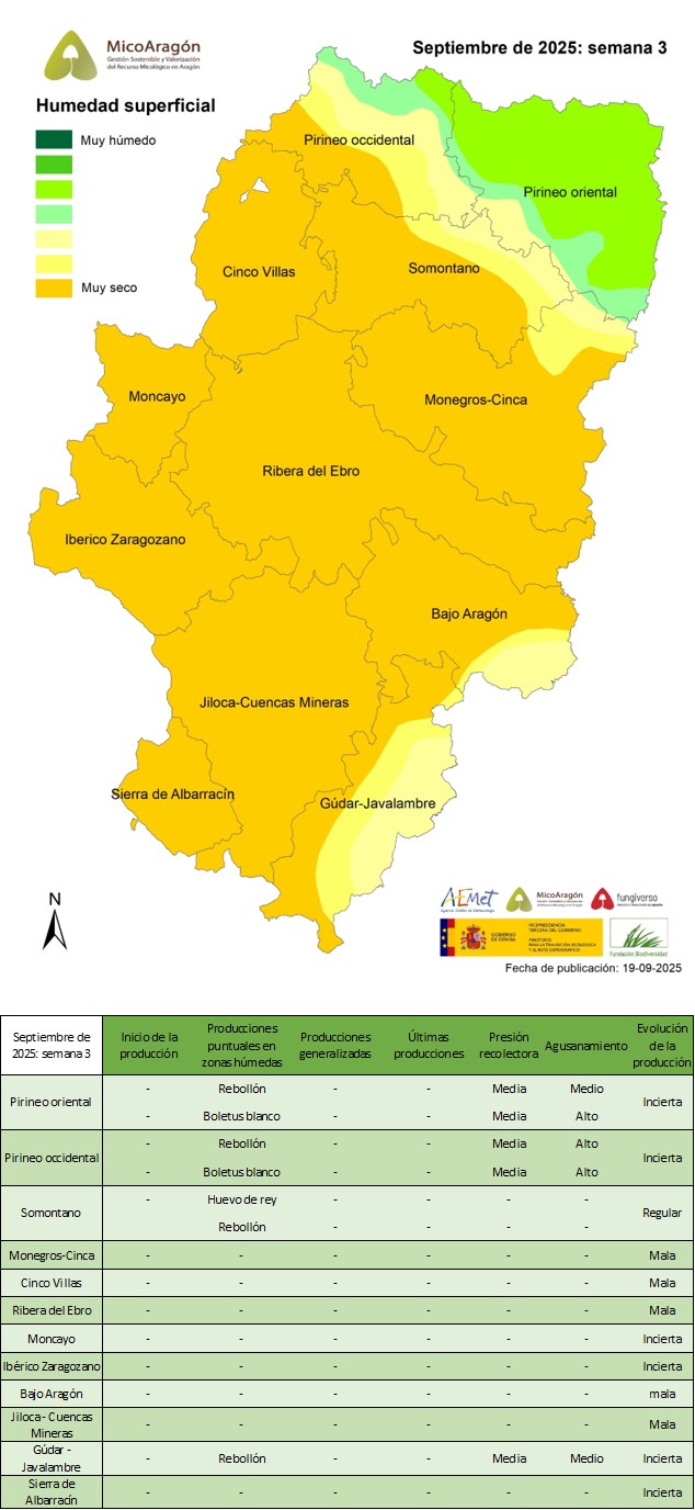 Septiembre de 2025: Semana 3