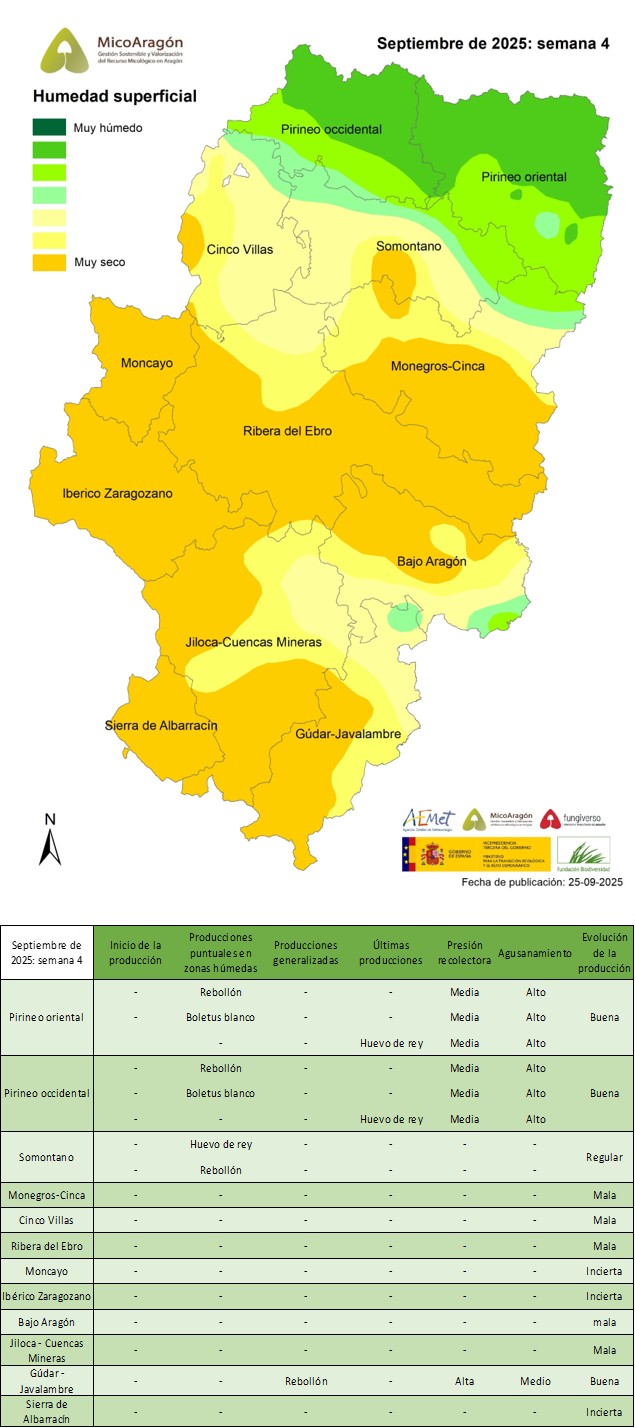 Septiembre de 2025: Semana 4