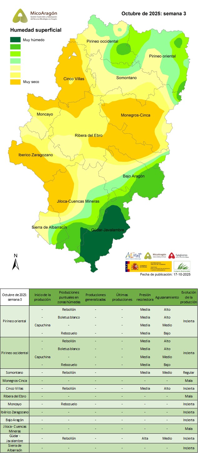 Octubre de 2025: Semana 3