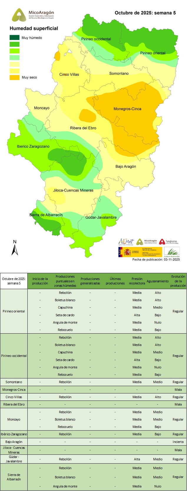 Octubre de 2025: Semana 5